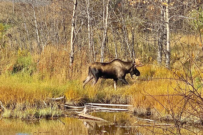 Chugach State Park Nature Walk - Directions to Meeting Point