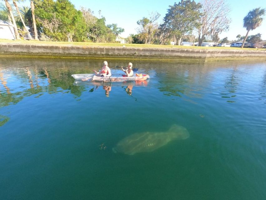 Crystal River: Clear Kayak Manatee Ecotour - Common questions