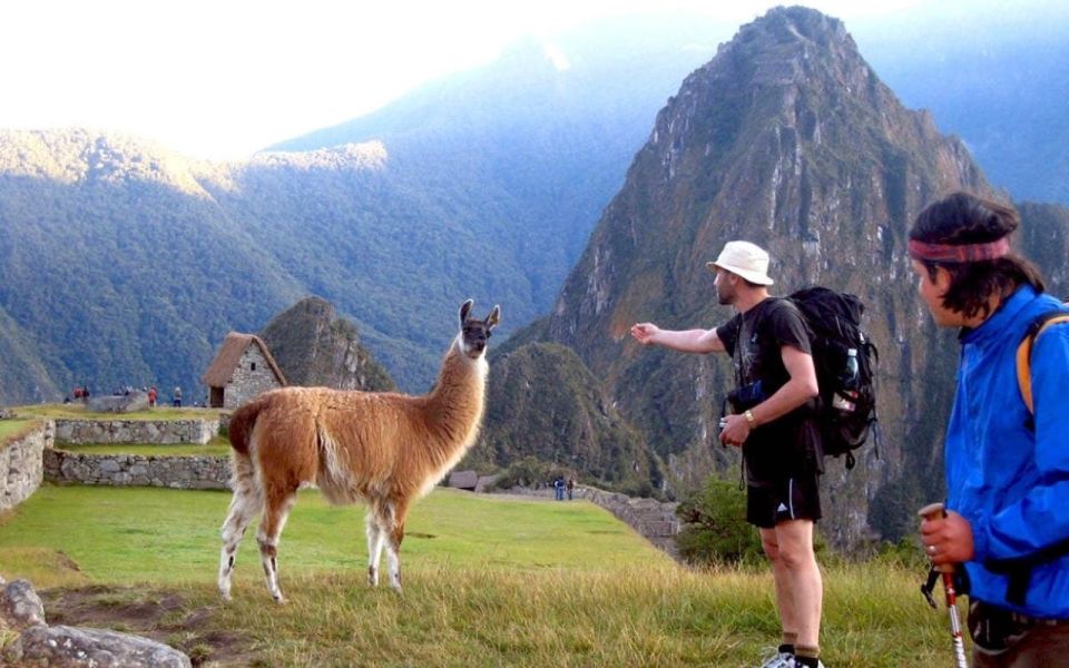 Cusco: Excursion to Machu Picchu 1 Day + General Ticket & Train - Itinerary Highlights