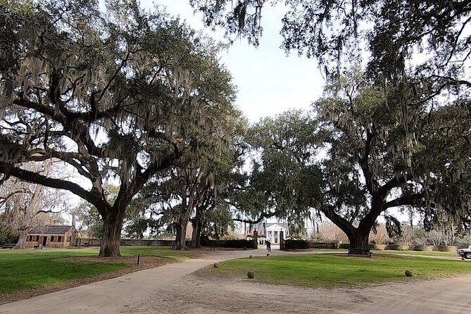 Day Trip to Charleston Tour #5: Bus Tour, Boone Plantation, Lunch and More - Bus Driver Experience