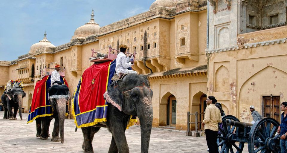 Delhi: Agra, Jaipur, Jodhpur & Pushkar 7-Day Tour - Customer Reviews