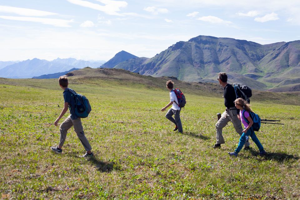 Denali: 5-Hour Guided Wilderness Hiking Tour - Common questions