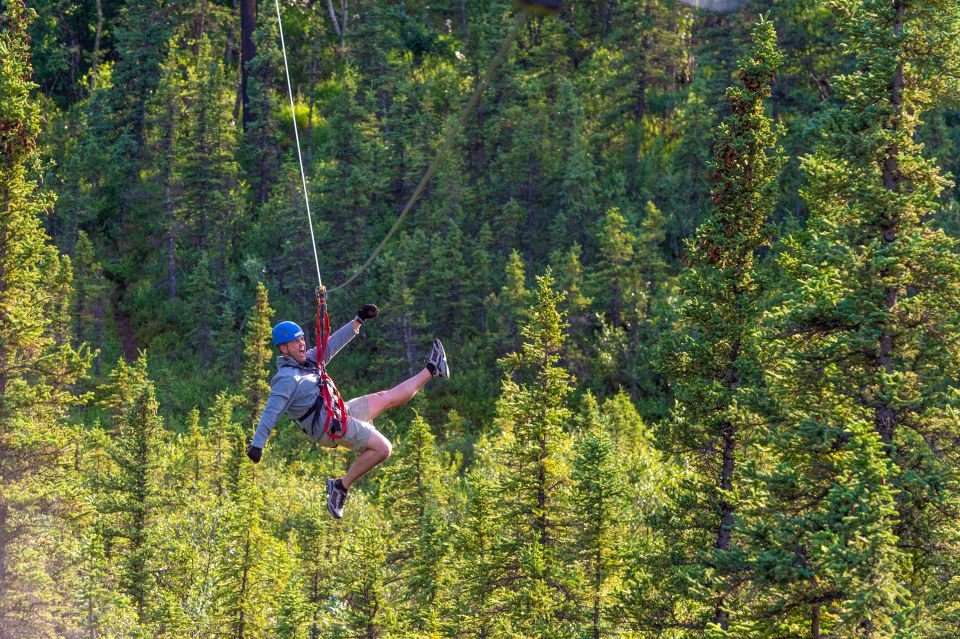 Denali Park Zipline Adventure - Rave Reviews From Adventurers