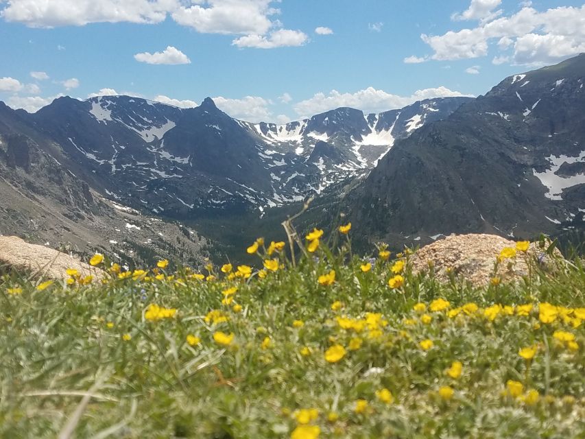 Denver: Rocky Mountain National Park Tour With Picnic Lunch - Important Information and Requirements