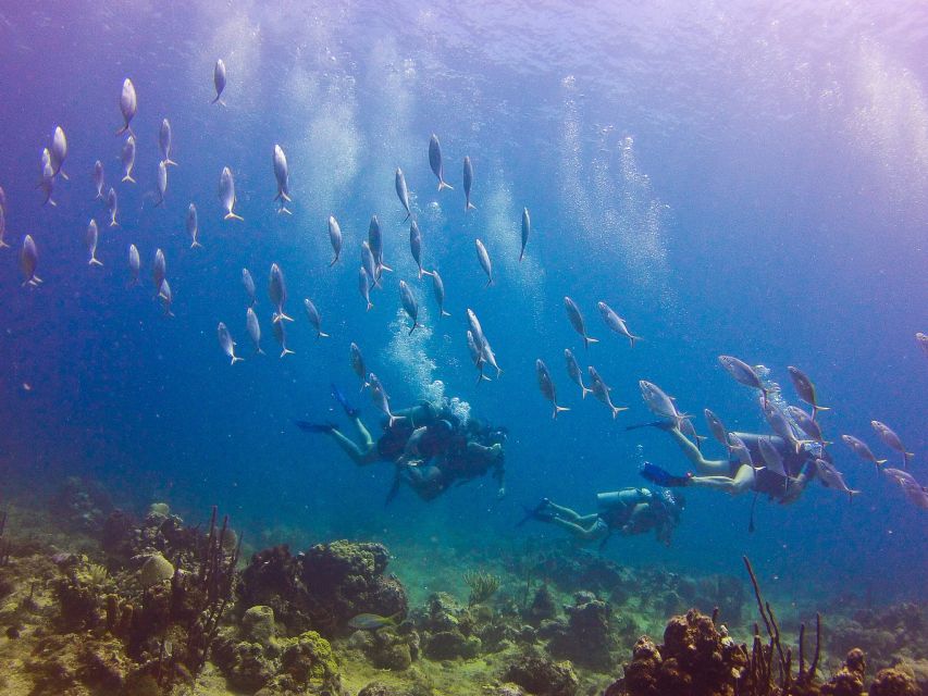 Dominican Republic: Catalina Island VIP Scuba Diving - Reservation