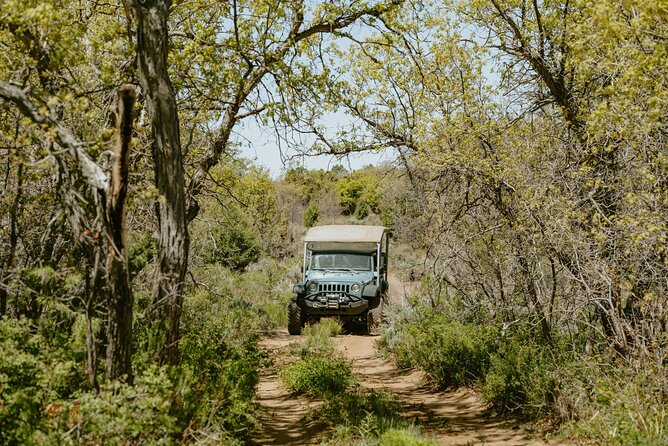 East Zion Brushy Cove Jeep Tour - Reviews