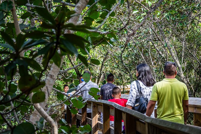 Everglades Airboat, Wildlife Experience With Roundtrip Transfer - Sum Up