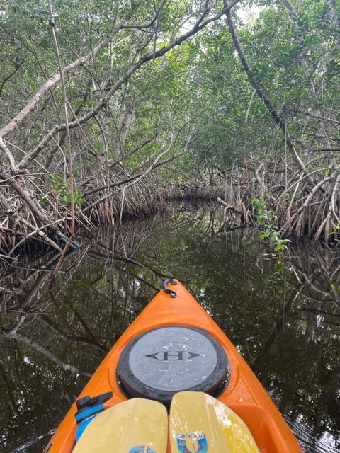 Everglades Kayak Eco Tour - Sum Up