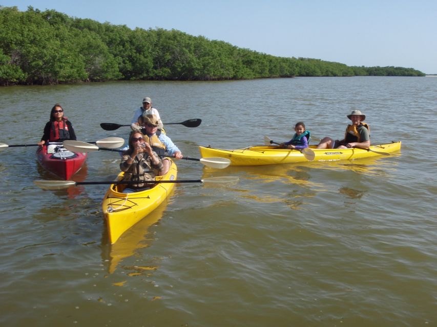 Everglades National Park: Boat Assisted Kayak Eco Tour - Sum Up