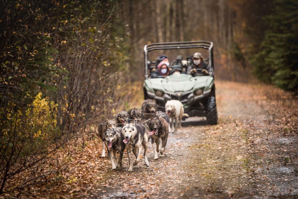 Fairbanks: Fall Cart Adventure Pulled by a Sled Dog - Tour Logistics