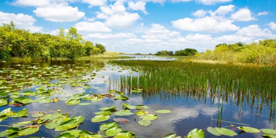 Fort Lauderdale: Everglades Express Tour With Airboat Ride - Important Information