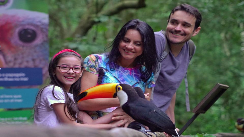 Foz Do Iguaçu: Brazilian Side of the Falls Bird Park - Booking Details
