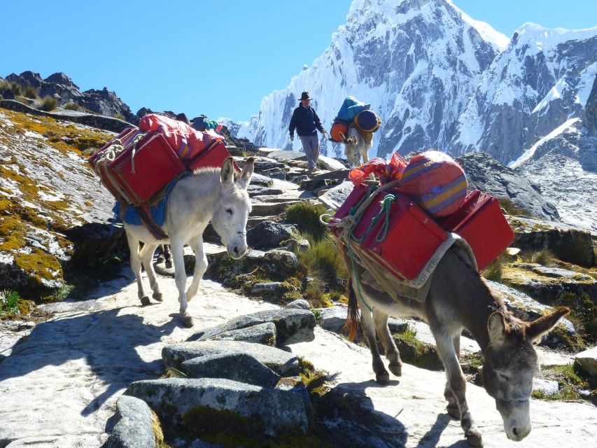 From Ancash: Trekking Santa Cruz Alpamayo |11Days-10Nights| - Common questions