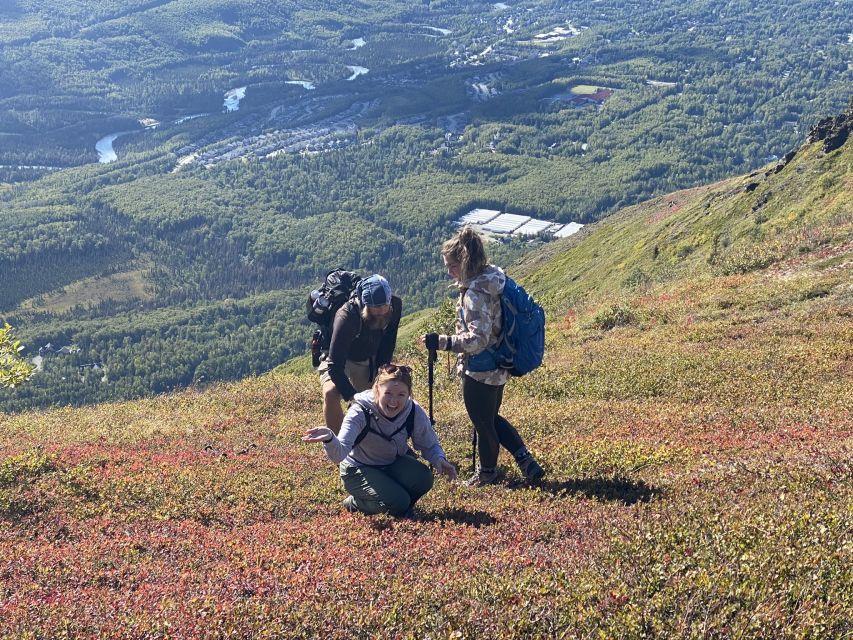 From Anchorage: Chugach State Park Guided Alpine Trek - Activity Details