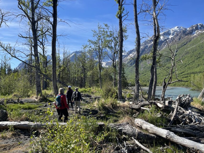 From Anchorage: Valley and Forest Hike With Naturalist Guide - Common questions