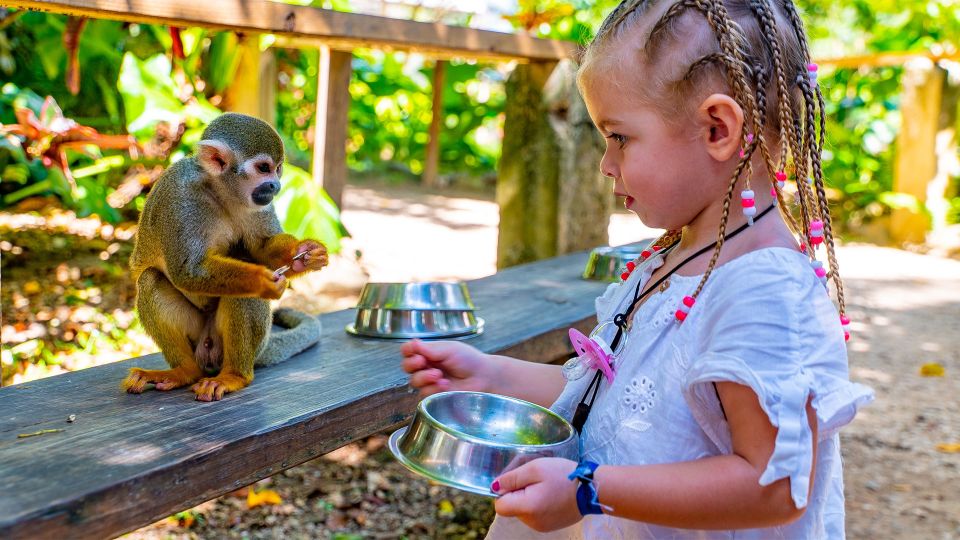 From Bayahibe: Half Day Monkeyland Safari - Important Information