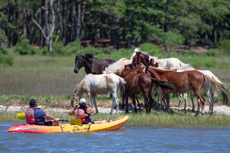 From Chincoteague: Guided Kayak Tour to Assateague Island - Customer Reviews