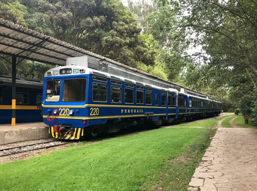 From Cusco: Machu Picchu Private Day Trip on Panoramic Train - Common questions