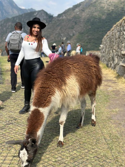 From Cusco: Machupicchu Full Day Trip by Train - Customer Reviews