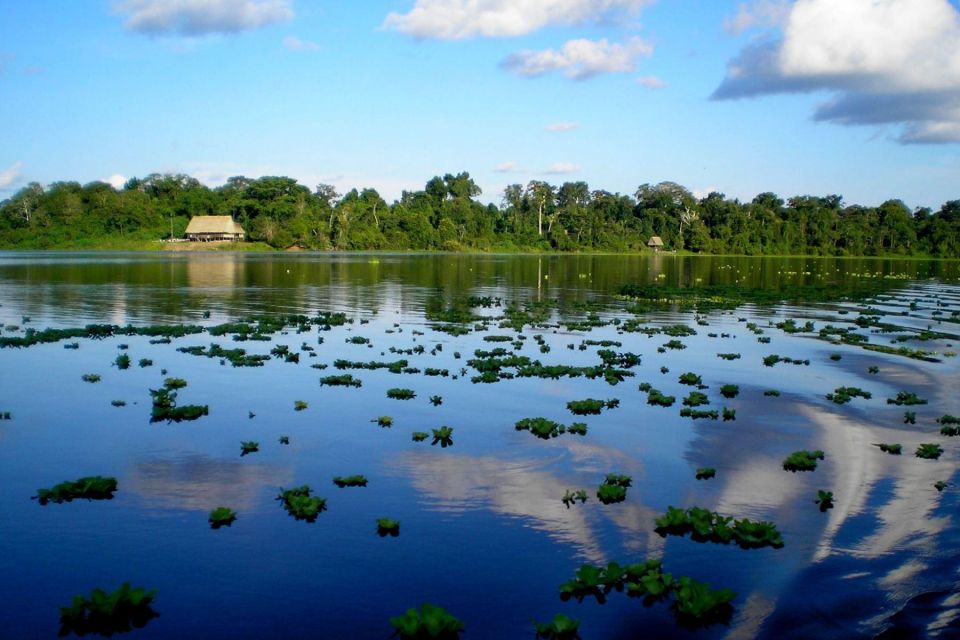 From Iquitos || 4 Day Yanayacu River Tour With Bird Watching - Important Information and Restrictions