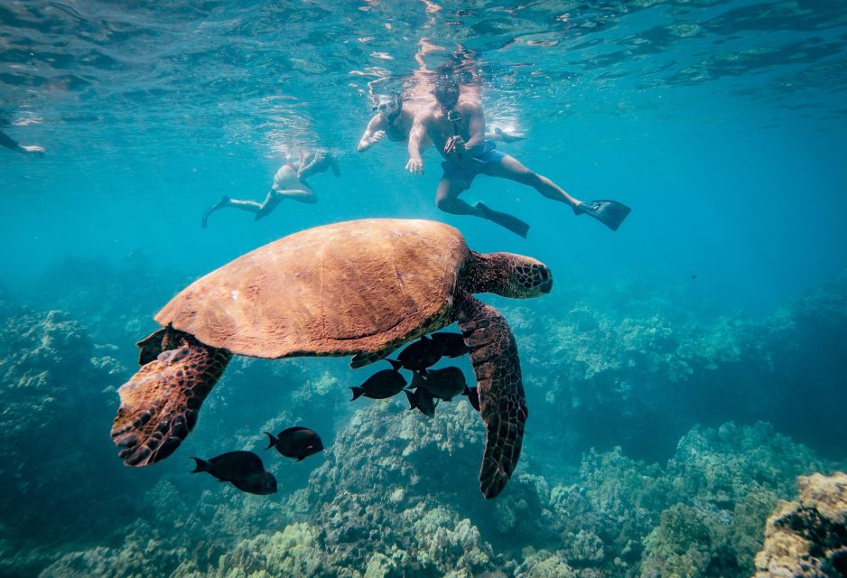 From Kihei: Molokini Snorkeling Adventure Tour - Safety Guidelines