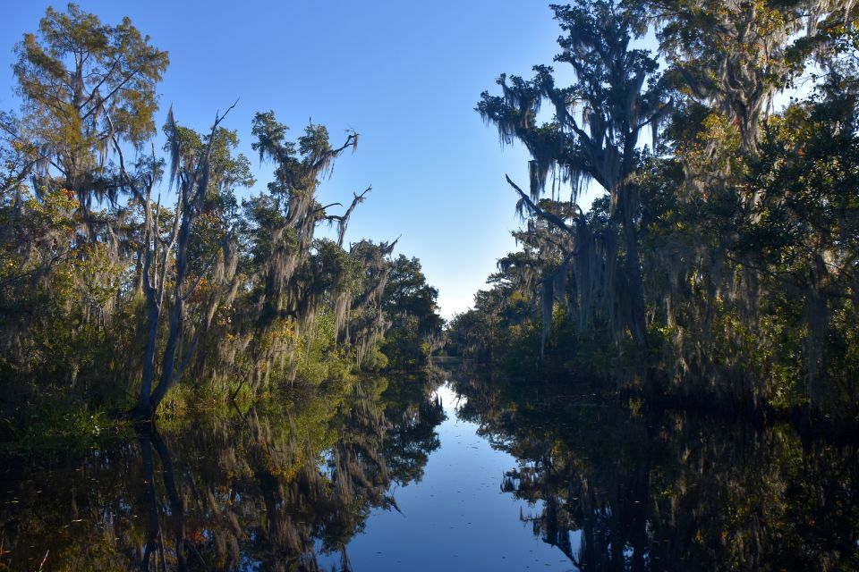 From Lafitte: Swamp Tours South of New Orleans by Airboat - Pricing and Directions