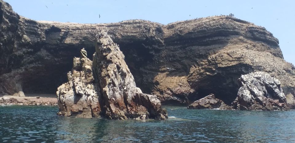 From Lima: Ballestas Island and Paracas Reserve Private Tour - What to Bring