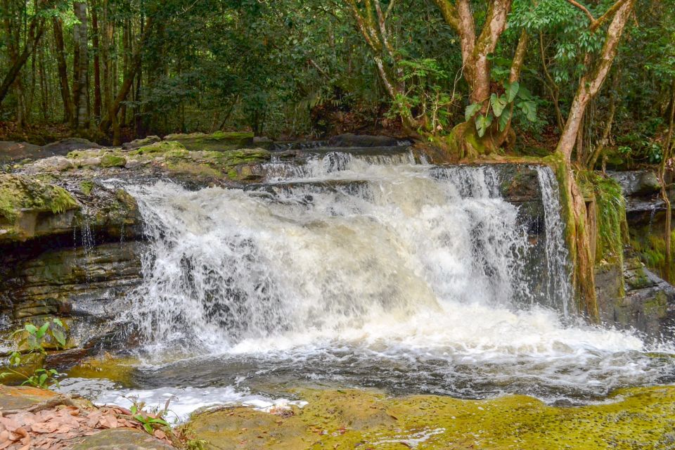 From Manaus: Presidente Figueiredo Waterfalls Daytrip - Additional Information