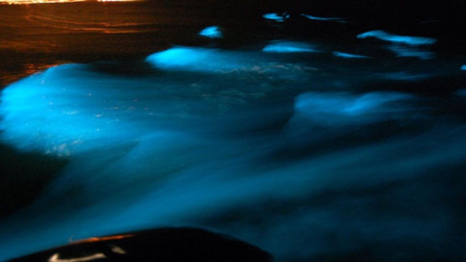 From Montego Bay: Luminous Lagoon Nighttime Boat Tour - Common questions