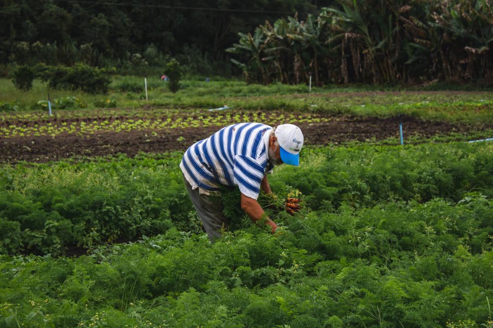 From Rio: Brejal Countryside Farm and Nature Day Trip - Common questions