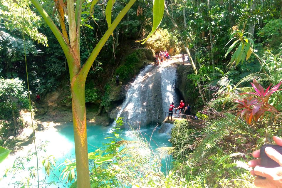 From Runaway Bay: Island Gully Falls and Blue Hole Tour - Common questions