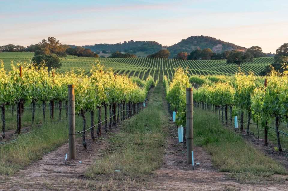 From San Francisco: Guided Napa & Sonoma Wine Country Tour - Directions and Contact