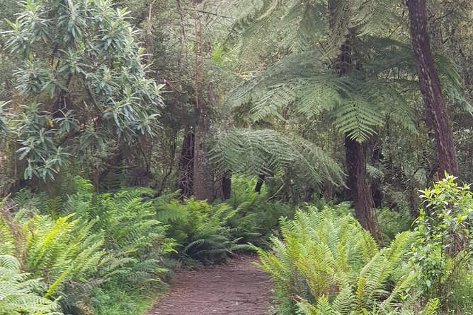 Full-Day Dandenong Ranges Tour With Pickup From Melbourne - Pricing & Booking Information