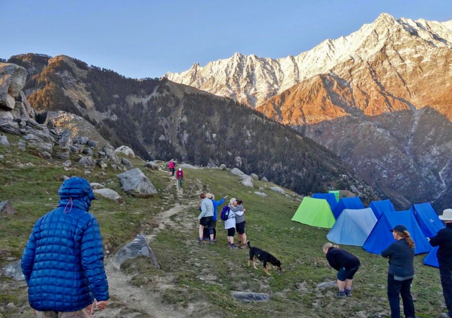 Hiking Day Tour to Triund From Dharamshala - Tour Description
