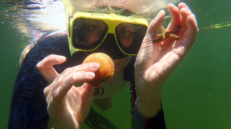 Homosassa: Snorkel & Scallop Hunt in Gulf of Mexico - Common questions