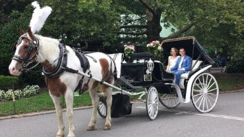 Horse and Carriage Rides Central Park - Directions