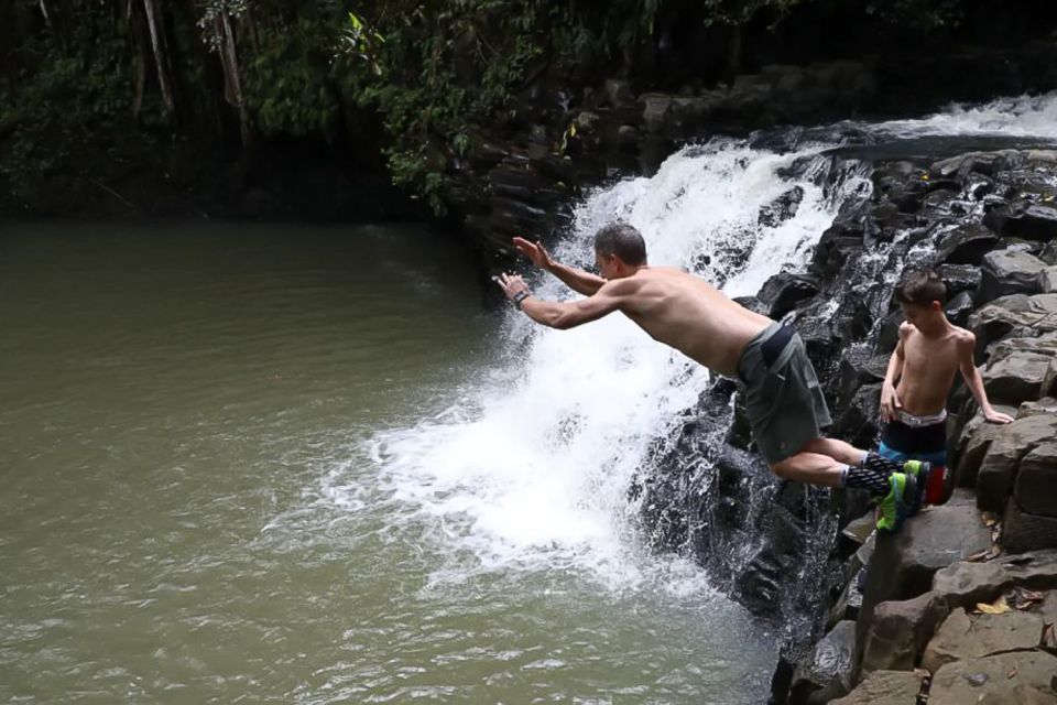 Kahului: Guided Rainforest and Waterfall Walk - Testimonials