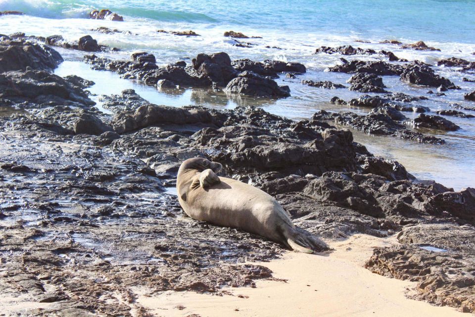 Kailua: Mokulua Islands Kayak Tour With Lunch and Shave Ice - Additional Tour Information