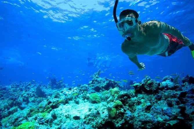 Key West Coral Reef Snorkel Adventure With Mimosas or Margaritas - Common questions