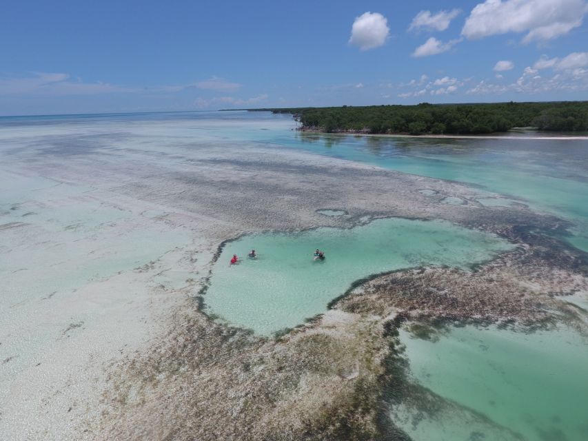 Key West: Eco Safari Tour With Snorkeling - Common questions