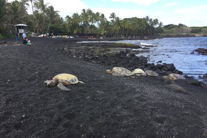 Kilauea Summit to Shore From Kona: Small Group - Diverse Landscapes and Lava Lake Viewing