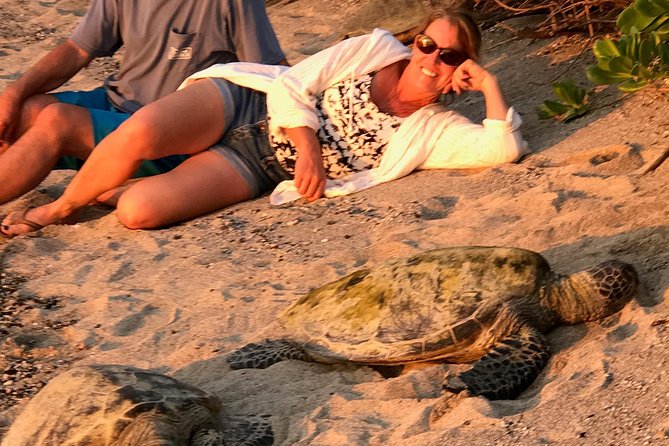 Kona Shore Excursion: Sea Turtles, Historic Kona & Coffee - Host Responses Feedback