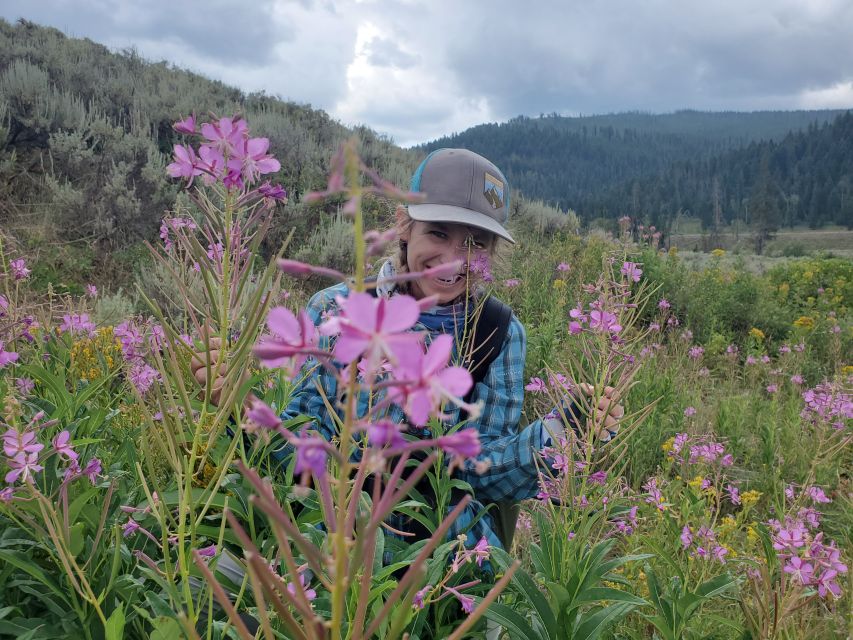 Lamar Valley: Safari Hiking Tour With Lunch - Customer Reviews