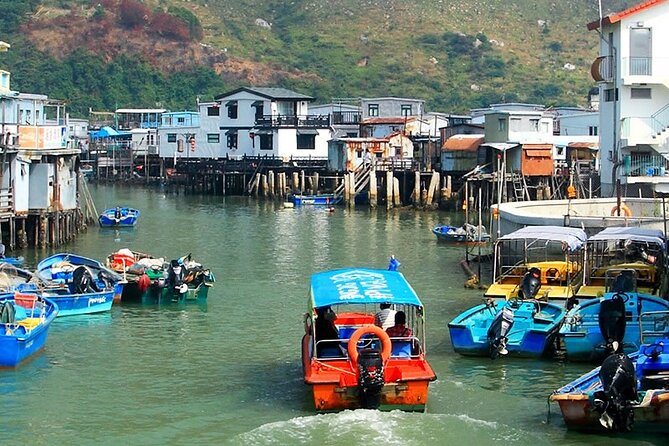 Lantau Island Day Trip - Big Buddha & Tai O () 1k Booked - Host Responses and Commitment