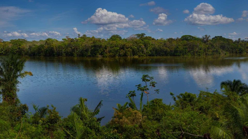 Madre De Dios |4 Days Tambopata Tour With Ayahuasca Ceremony - Experience Highlights