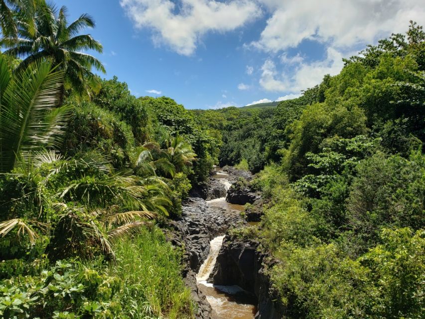 Maui: Road to Hana Adventure With Breakfast & Lunch - Visitor Feedback