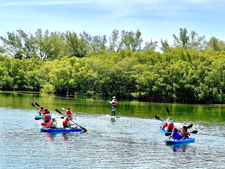 Miami: Manatee Season Tour Paddleboard or Kayak Tour - Customer Review