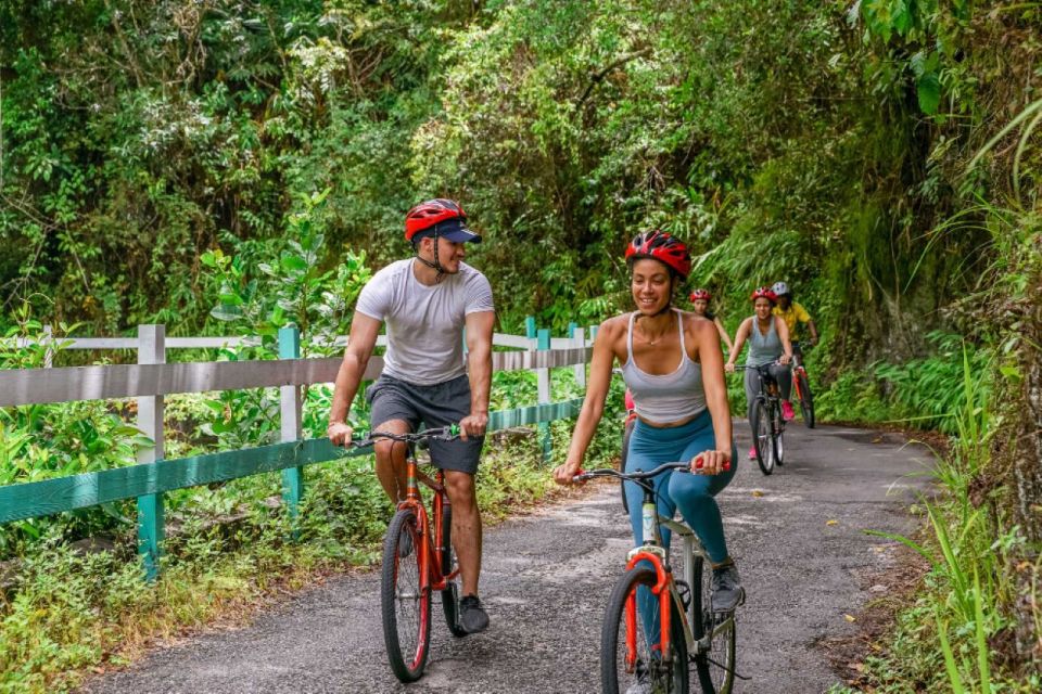 Montego Bay: Blue Mountains Bicycle Tour With Brunch & Lunch - Sum Up