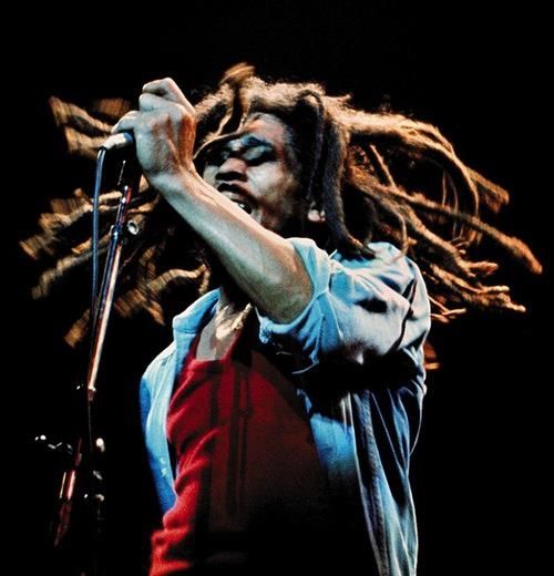Montego Bay: Bob Marley Tour to 9 Mile, St. Ann - Drop-off Locations and Transportation