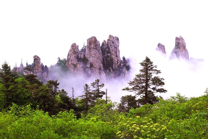 Mount Seorak and Sokcho Customizable Private Tour - Add-On Experiences Available
